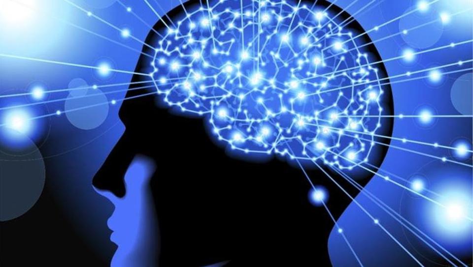 Music,drugs stimulate same part of brain: study
